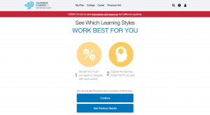 Learning Styles Inventory
